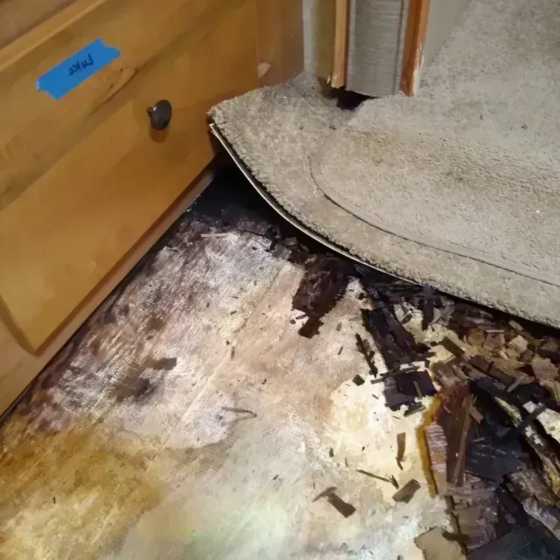 Best Wood Floor Water Damage Service in Kansas City, MO